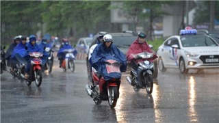  Trung Bộ và Tây Nguyên có mưa to đến rất to 