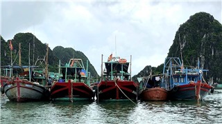  Bão số 2: Quảng Ninh dừng các cuộc họp không cần thiết, Nam Định cấm biển từ 17 giờ 10/8 