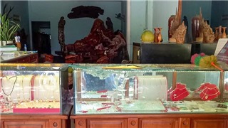  Đã bắt được nghi phạm dùng cuốc đập tủ kính cướp vàng ở huyện miền núi Nam Giang, Quảng Nam 