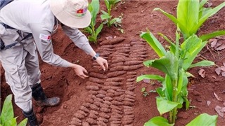  Quảng Trị phát hiện, xử lý thành công hầm chứa 144 vật liệu nổ 