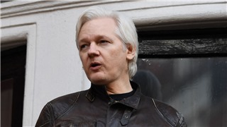  Các luật sư của nhà sáng lập WikiLeaks kiện CIA với cáo buộc theo dõi 