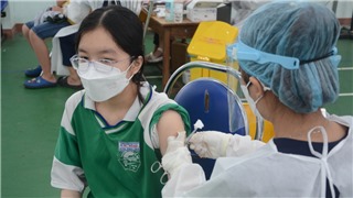  Đà Nẵng: Không có văn bản bắt học sinh phải tiêm vaccine Covid-19 mới được nhập học 