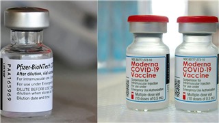  EU cấp chứng nhận cho 2 loại vaccine phiên bản mới ngừa biến thể Omicron 