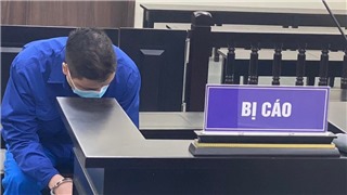  Đối tượng dùng gạch làm hung khí cướp ô tô tại Vincom Bà Triệu, Hà Nội lĩnh án 