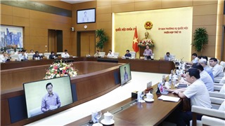  Chủ động đấu tranh với tội phạm về tham nhũng, kinh tế, buôn lậu 