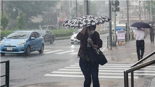  Bão Nanmadol gây thiệt hại về người và của tại Nhật Bản 
