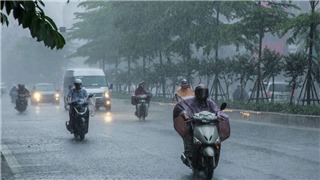  Thời tiết các khu vực đều có mưa và dông, nhiều nơi mưa to 