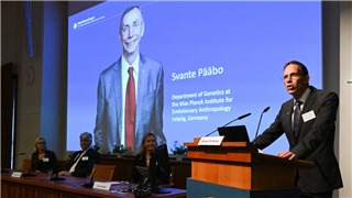  Giải Nobel Y sinh 2022 và các giải Nobel Y sinh 10 năm trở lại đây 