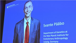  Giải Nobel Y sinh 2022 tôn vinh cách tiếp cận mới trong nghiên cứu về tiến hóa của loài người 