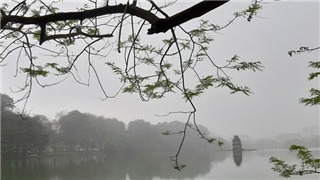  Cả nước có mưa, Hà Nội sáng sớm có sương mù, trưa chiều trời nắng 