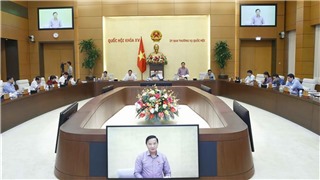 Phiên họp chuyên đề pháp luật tháng 9: Trình Quốc hội xem xét dự thảo Nghị quyết về thí điểm đấu giá biển số ô tô 