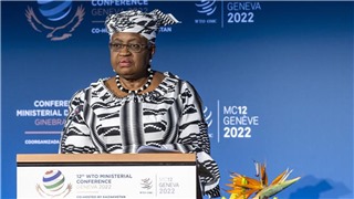  Tổng giám đốc WTO: Kinh tế thế giới trên đà suy thoái 