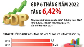  GDP 6 tháng năm 2022 tăng 6,42% 