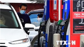  Nhu cầu ô tô điện giảm theo giá xăng 