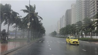  Cập nhật bão số 4: Cách đất liền Đà Nẵng - Quảng Ngãi khoảng 200km 