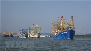  Việt Nam yêu cầu Trung Quốc tôn trọng chủ quyền của Việt Nam đối với quần đảo Hoàng Sa 