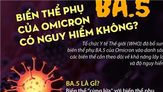  Biến thể phụ BA.5 khiến nhiều nước tăng số ca Covid-19; Việt Nam theo dõi chặt, thúc đẩy tiêm vaccine 
