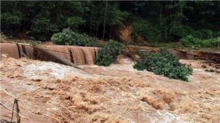  Thời tiết ngày và đêm 31/7: Bắc Bộ có mưa rào và rải rác có dông, cục bộ có mưa to 