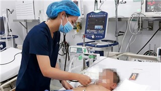  Nhiều ca tử vong do sốt xuất huyết sau khi tự điều trị tại nhà 