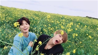  V BTS từng khăn gói tới thăm Park Bo Gum trong quân đội  