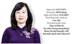  Quá trình công tác Quyền Bộ trưởng Bộ Y tế Đào Hồng Lan 