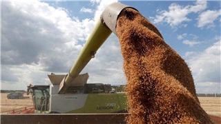  Ukraine khẳng định tiếp tục chuẩn bị cho việc xuất khẩu ngũ cốc 