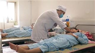  Bộ Y tế phân công các bệnh viện tiếp nhận, điều trị sốt xuất huyết 