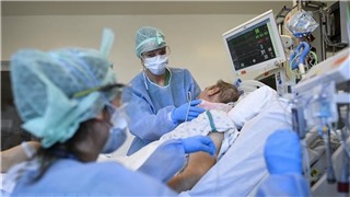  BA.4 và BA.5 chiếm 70% các biến thể virus gây Covid-19 đang lây lan ở Mỹ 