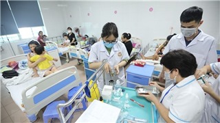  Hà Nội ghi nhận 19 ổ bệnh sốt xuất huyết 