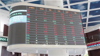  FLC khả năng cao sẽ bị đình chỉ giao dịch 