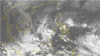  Những cơn bão lớn gây thiệt hại nặng cho các tỉnh miền Trung gần đây 