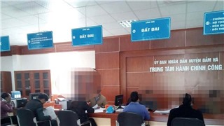  Quảng Ninh: Phó Giám đốc Trung tâm hành chính công huyện Đầm Hà bị đình chỉ công tác 