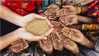  Giải pháp nào cho khủng hoảng lương thực toàn cầu? 