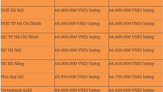  Giá vàng hôm nay 7/9 