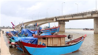  Các tỉnh thành từ Quảng Ninh đến Quảng Ngãi ứng phó với áp thấp nhiệt đới, bão 