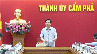  Quảng Ninh: Khai trừ ba đảng viên vi phạm ra khỏi Đảng 