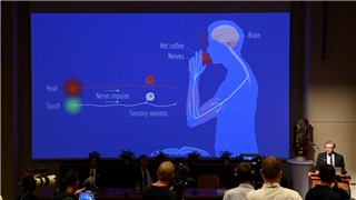  Các ứng cử viên sáng giá cho giải Nobel Y Sinh 2022 