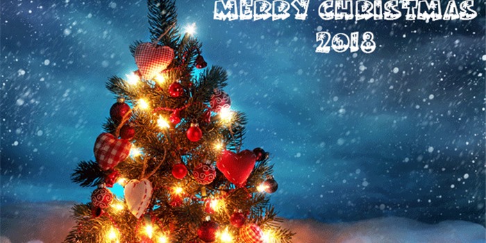 Mừng Mua Lễ Hội Mua Lễ Hội Lời Chuc Giang Sinh Giang Sinh Lời Chuc Noel Ttvh Online